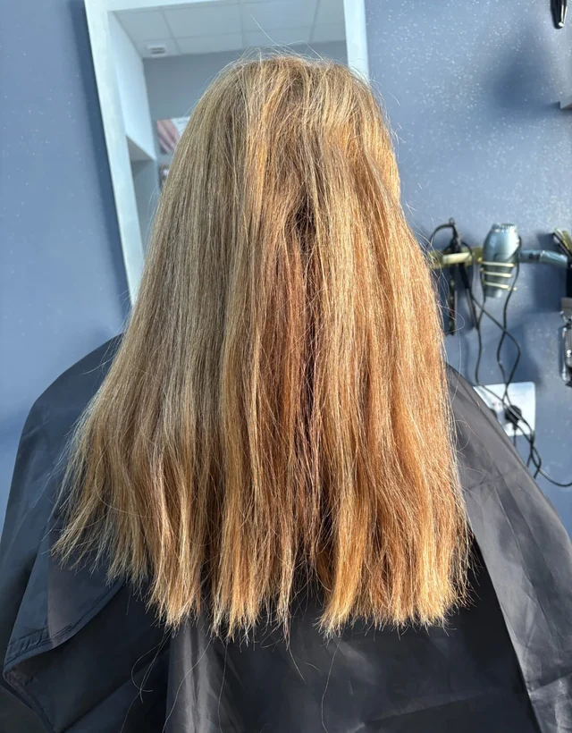 Client 3 hair before smoothing treatment