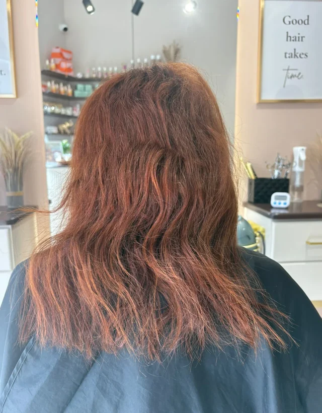 Client 5 hair before smoothing treatment