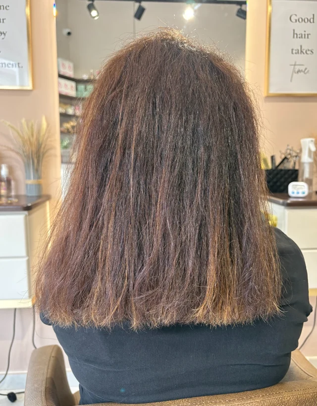 Client 6 hair before smoothing treatment